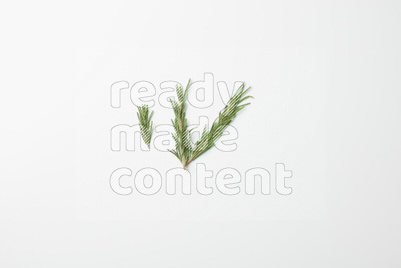 Three fresh rosemary sprigs on white background