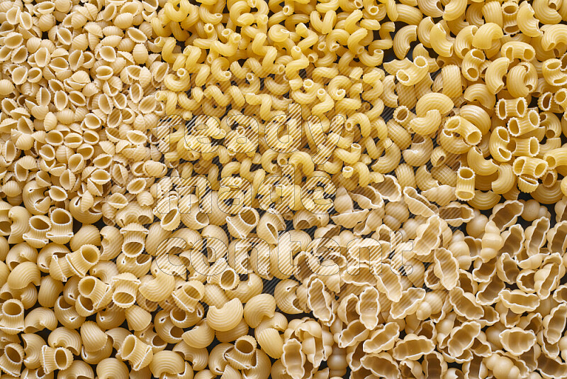 5 types of pasta filling the frame