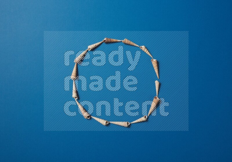 top view shot of seashells arrangement on blue background