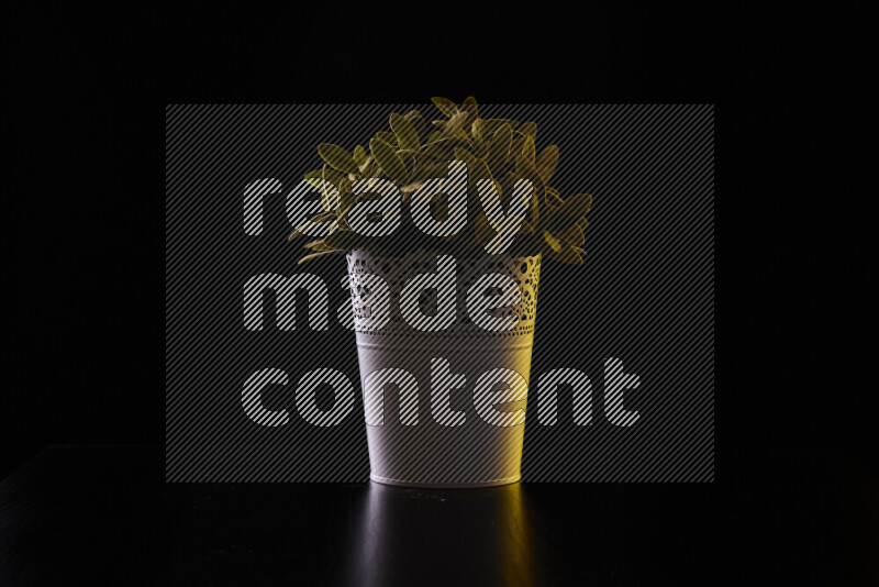 Plastic potted plant with colored rim light against black background