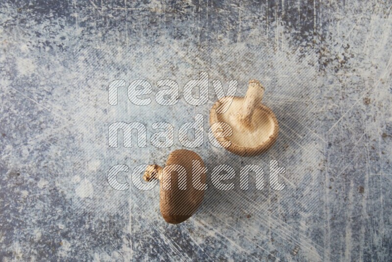 group of fresh shiitake Mushrooms topview on a blue textured background