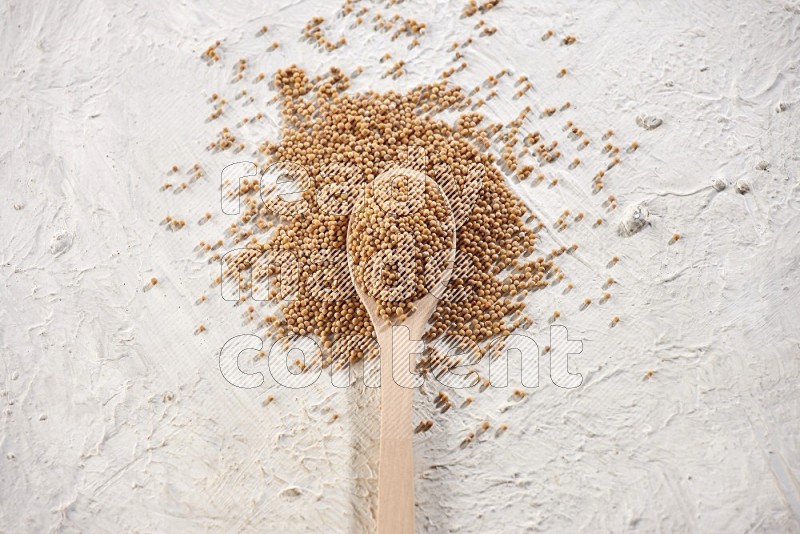 A wooden spoon full of mustard seeds on a textured white flooring