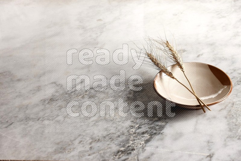 Wheat stalks on Multicolored Pottery Plate on grey marble flooring, 45 degree angle