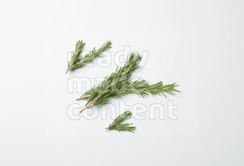 Multi fresh rosemary sprigs on white background