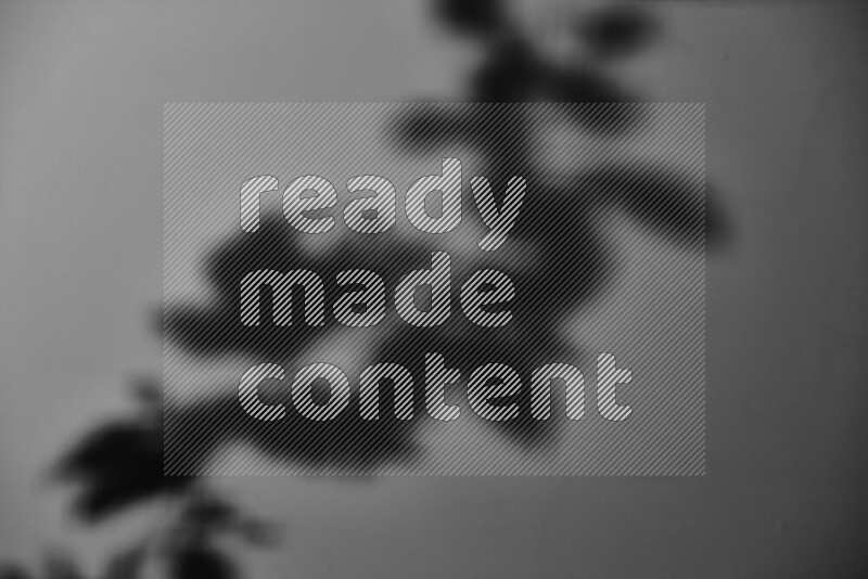 يظهر ضوء غوبو خافت ظلال أوراق نبات تسقط على سطح ناعم