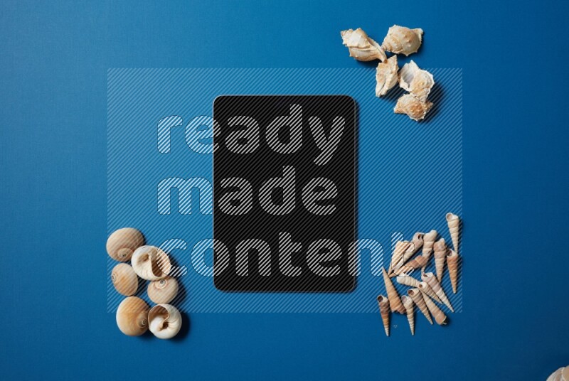 top view shot of a tablet, and seashells on blue background