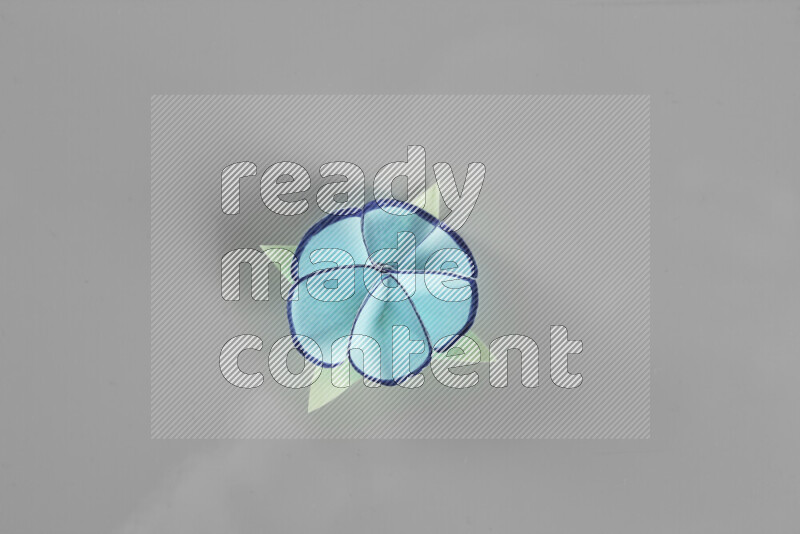 Origami flower on grey background