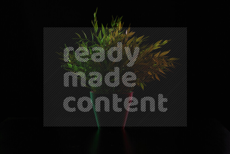 Plastic potted plant with colored rim light against black background