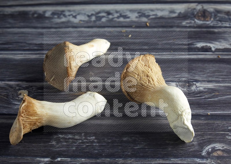 45 degree two king oysters mushrooms on a textured grey wooden background