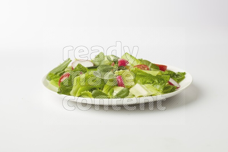 fattoush salad in a white plate direct on a white background