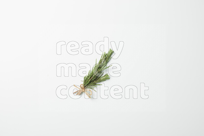 Multi fresh rosemary sprigs on white background