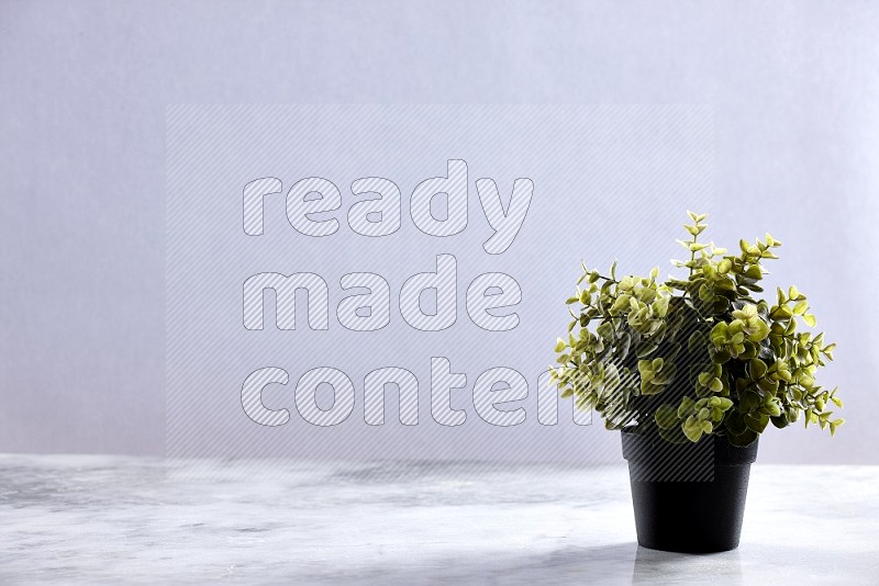Artificial Plant in black pot on Light Grey Marble Flooring 15 degree angle