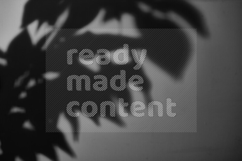 يظهر ضوء غوبو خافت ظلال أوراق نبات تسقط على سطح ناعم