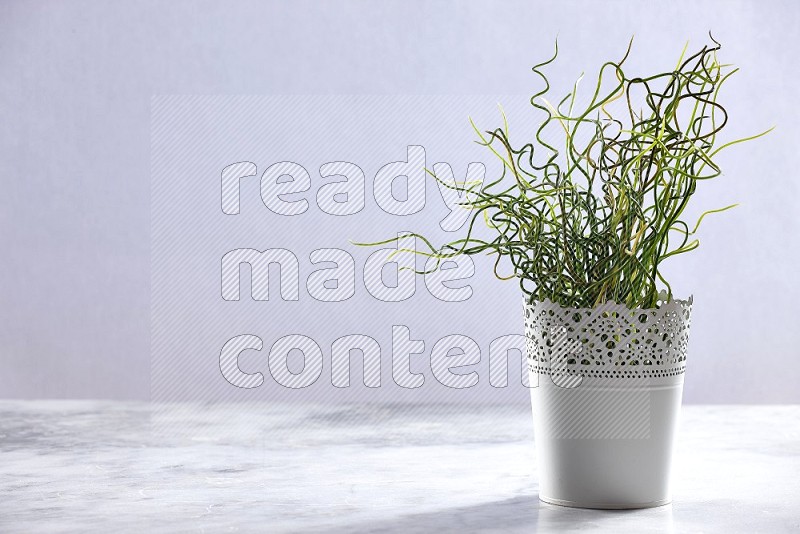 Artificial Plant in White Decorative Pot on Light Grey Marble Flooring 15 degree angle
