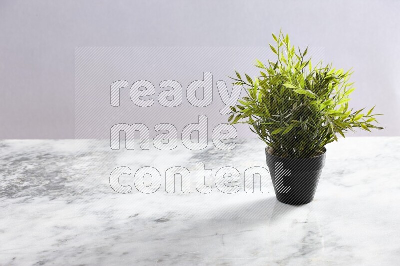 Green artificial plant in black pot on grey marble background