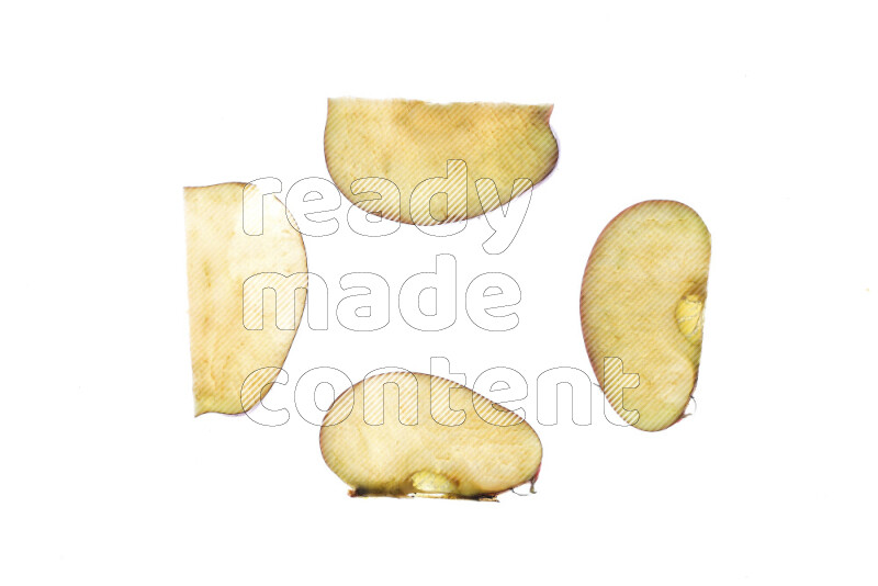 Apple slices on illuminated white background