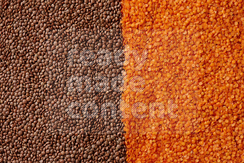 Lentils on white background