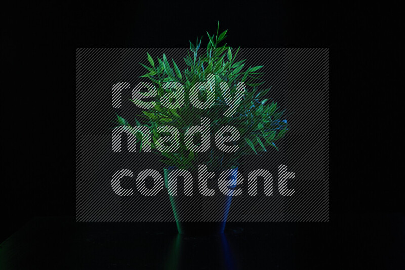 Plastic potted plant with colored rim light against black background