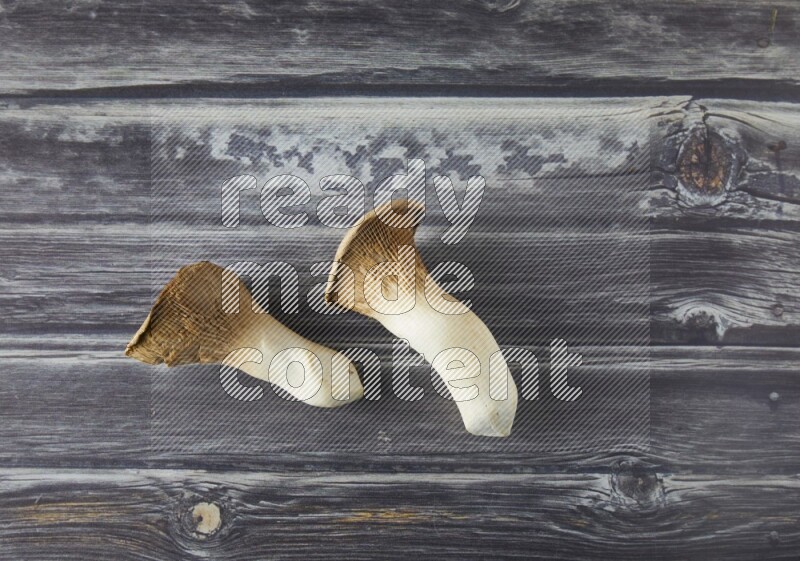 Fresh King oysters mushrooms topview on a grey wooden background