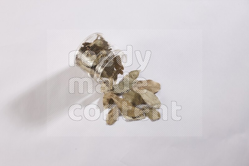 A glass jar full of dried bay leaves and jar is flipped and leaves spread out on white flooring