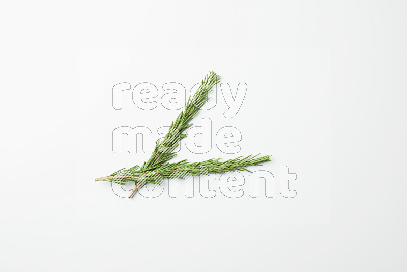 Two fresh rosemary sprigs on white background