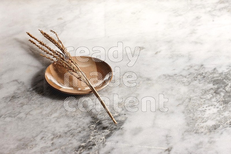Wheat stalks on Multicolored Pottery Plate on grey marble flooring, 45 degree angle