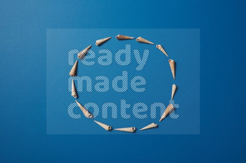 top view shot of seashells arrangement on blue background