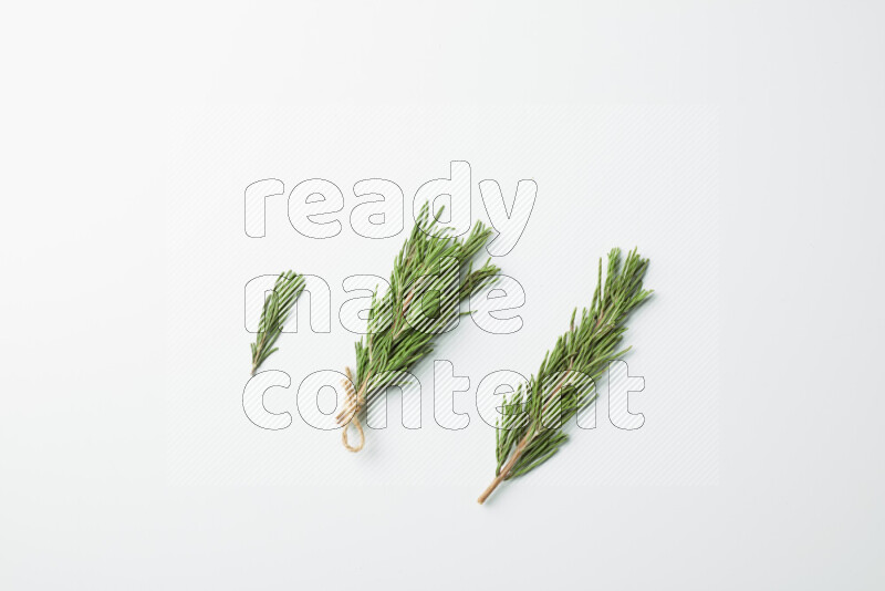 Multi fresh rosemary sprigs on white background