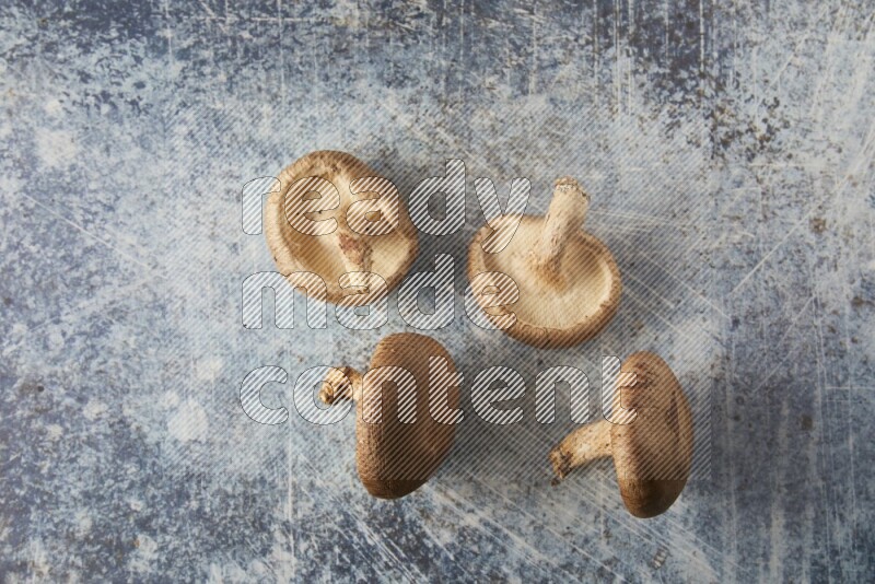 group of fresh shiitake Mushrooms topview on a blue textured background