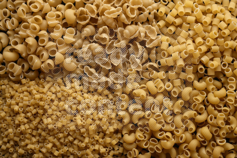 5 types of pasta filling the frame