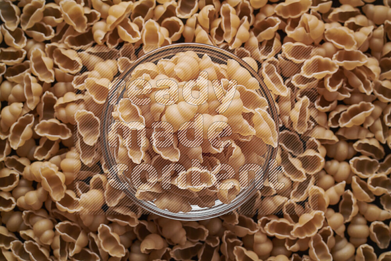 Snails pasta in a glass bowl on black background