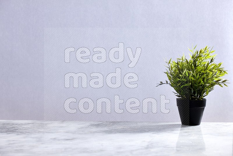 Artificial Plant in black pot on Light Grey Marble Flooring 15 degree angle