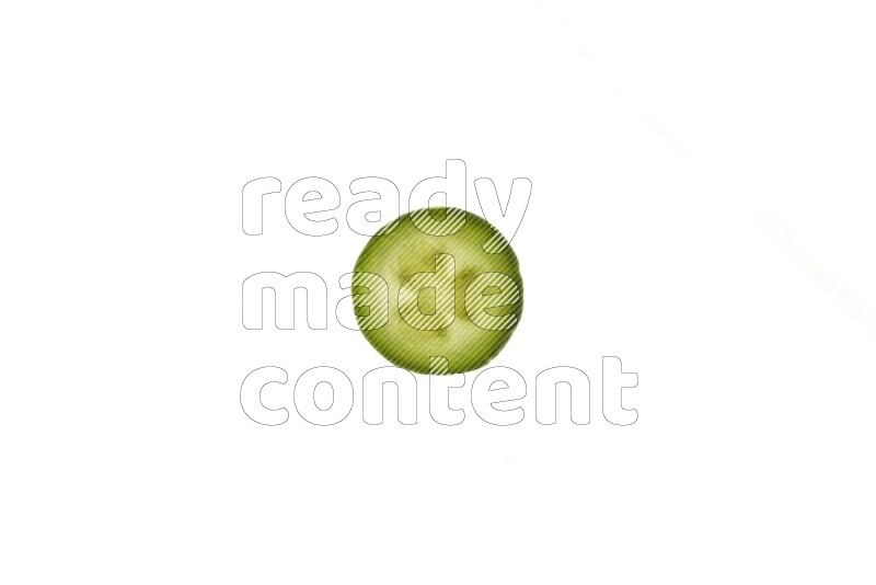 Zucchini slices on illuminated white background