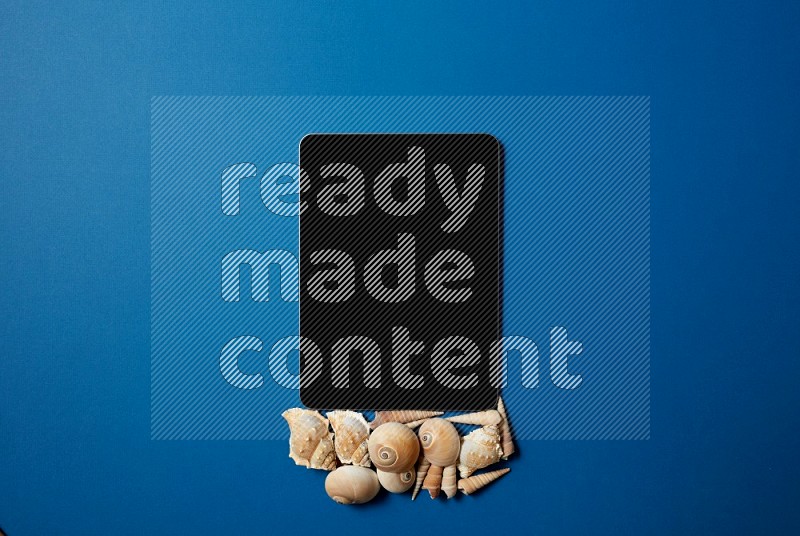 top view shot of a tablet, and seashells on blue background