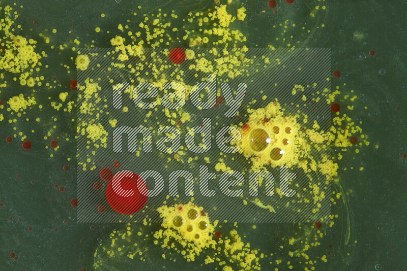 The image captures a dramatic splatter of red, green and yellow paints over the backdrop