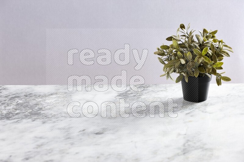 Green artificial plant in black pot on grey marble background
