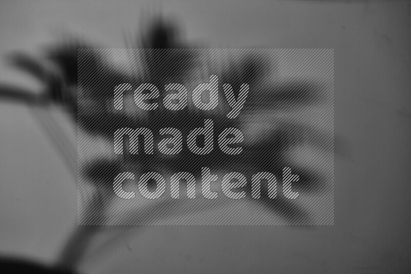 يظهر ضوء غوبو خافت ظلال أوراق نبات تسقط على سطح ناعم