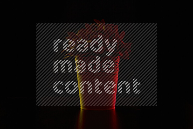 Plastic potted plant with colored rim light against black background