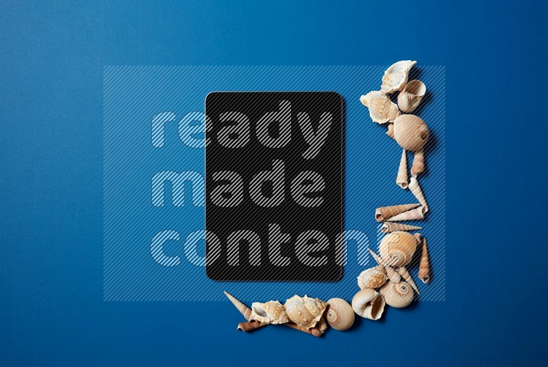 top view shot of a tablet, and seashells on blue background