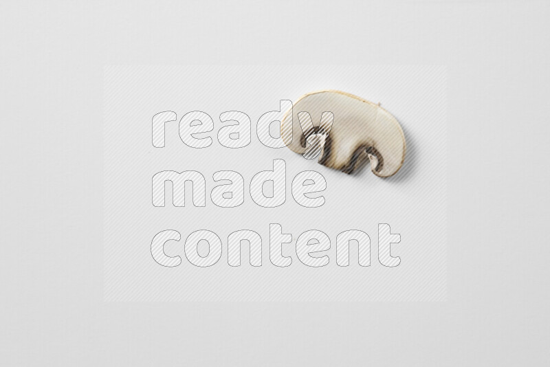 Mushrooms on white background