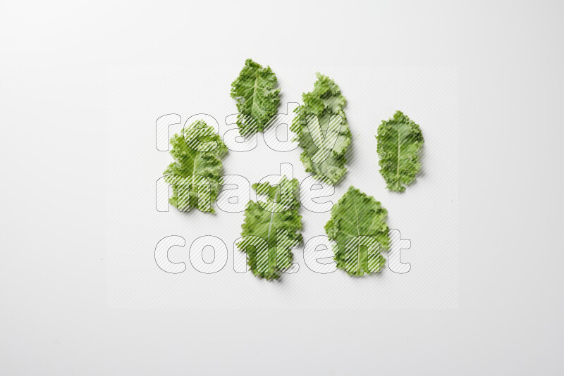 An array of kale leaves spread out on a white background