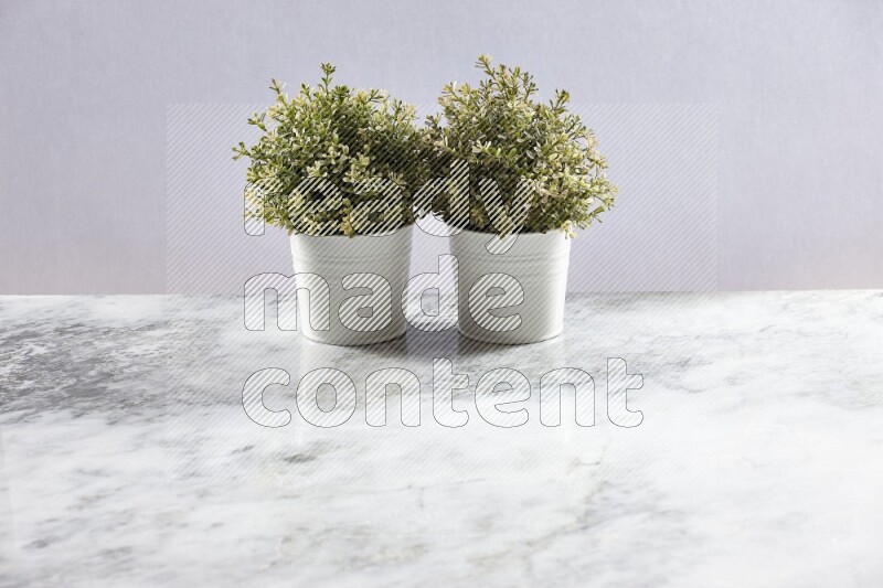Two green artificial plants in white pot on grey marble background