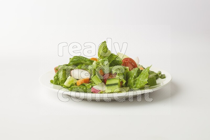 fattoush salad in a white plate direct on a white background