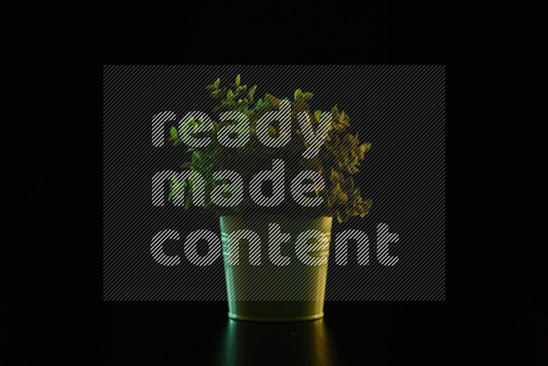 Plastic potted plant with colored rim light against black background