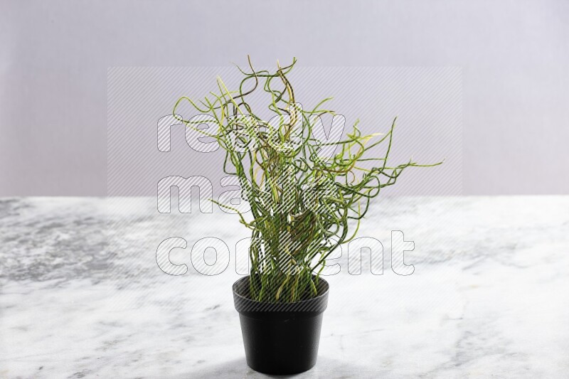 Green artificial plant in black pot on grey marble background