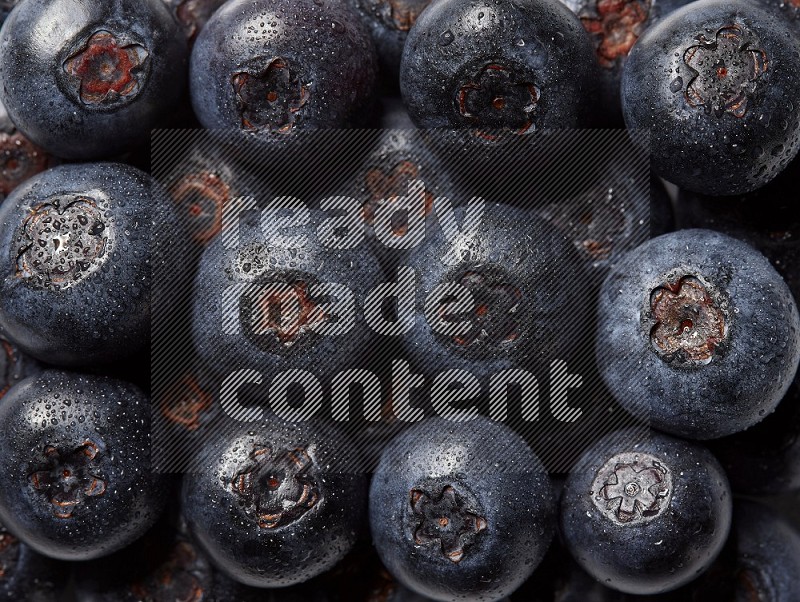 top view shot of blueberries