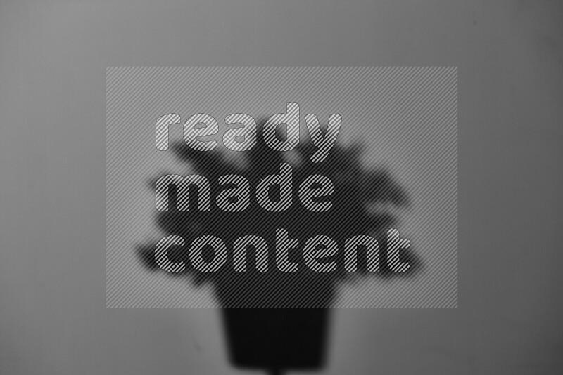 يظهر ضوء غوبو خافت ظلال أوراق نبات تسقط على سطح ناعم