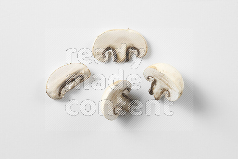 Mushrooms on white background