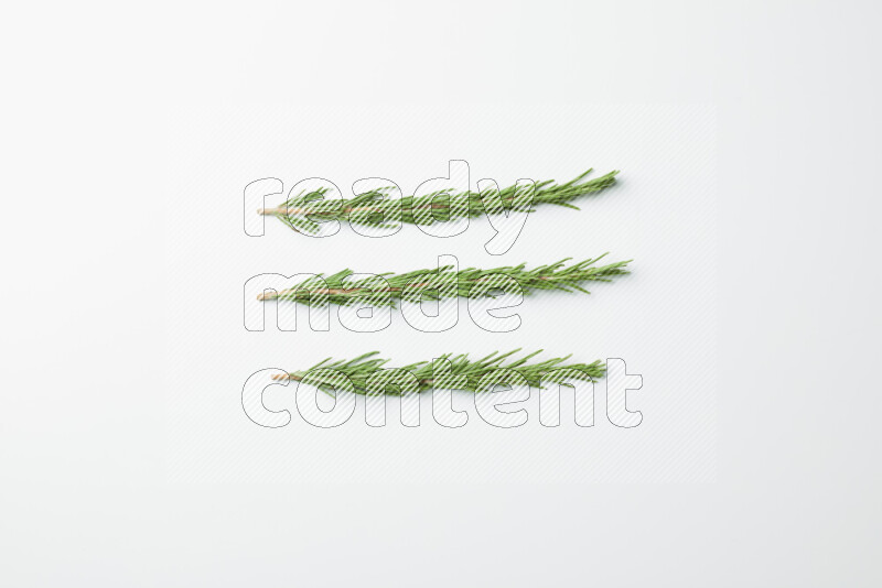 Three fresh rosemary sprigs on white background