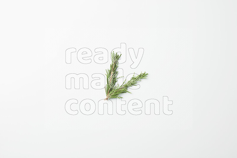 Two fresh rosemary sprigs on white background